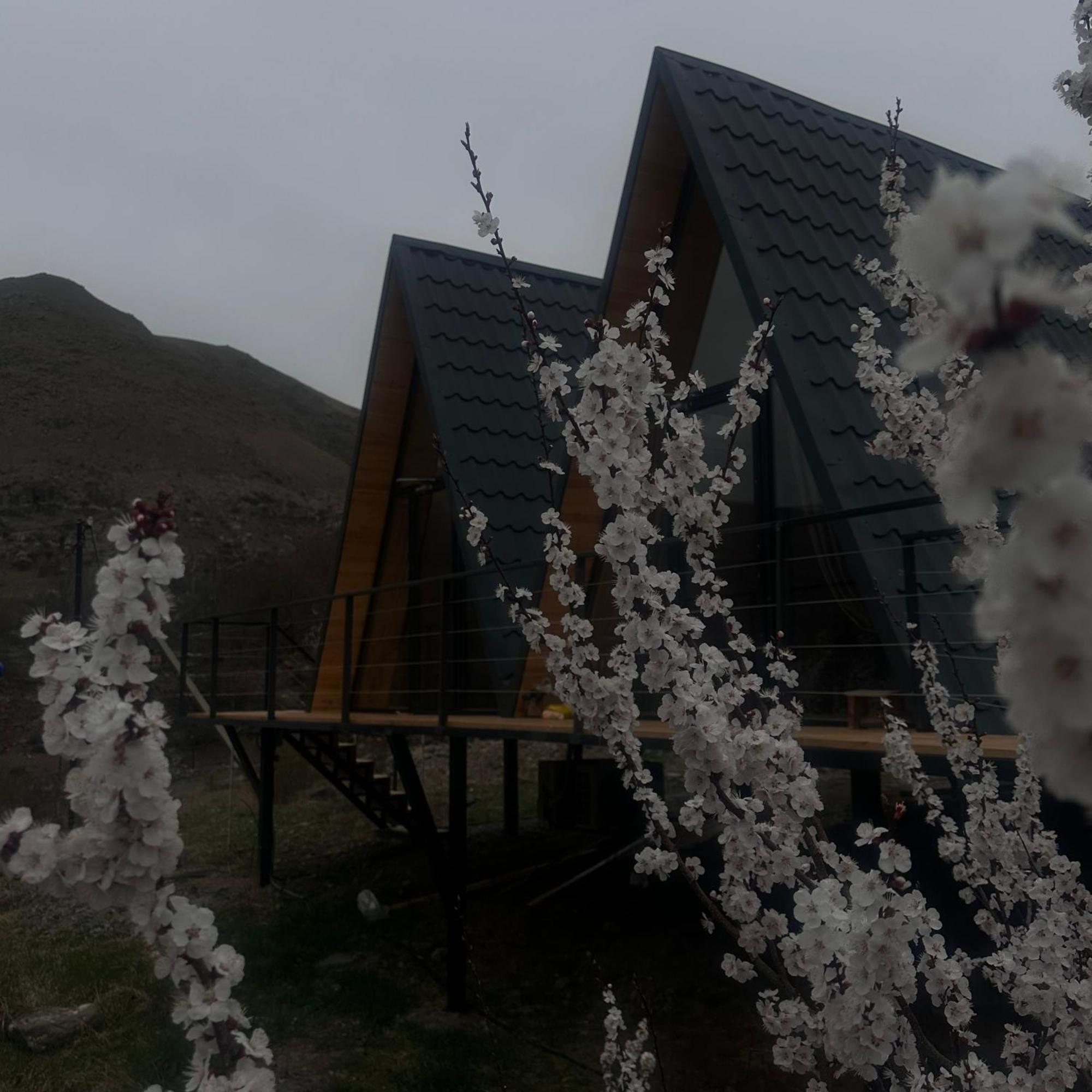 Vardzia Glamping Exteriör bild