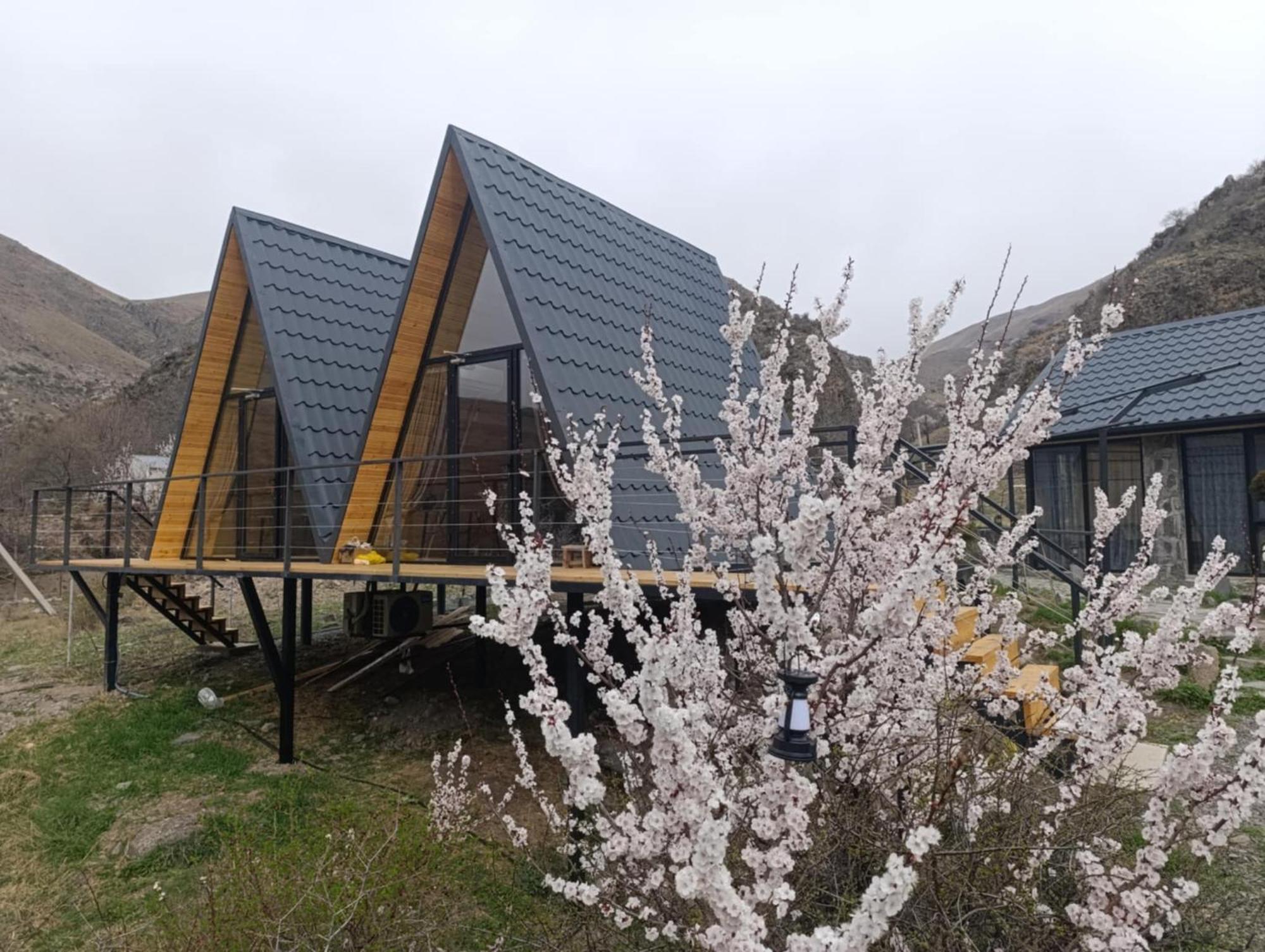 Vardzia Glamping Exteriör bild